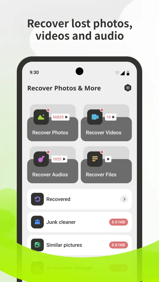Recoverable file counts by type